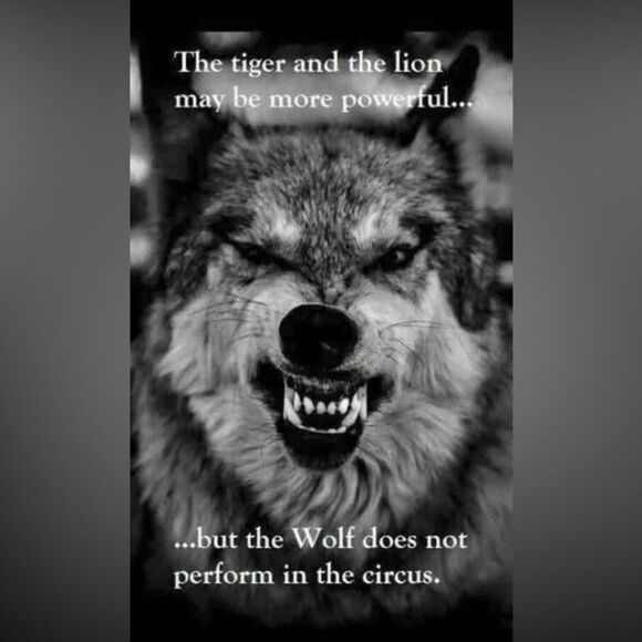 Unlisted items - Picture 1 of 1